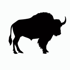 Vector Silhouette of Buffalo, Strong Buffalo Illustration for Wildlife and Nature Themes