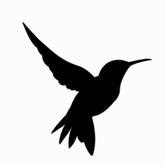 Vector Silhouette of Hummingbird, Delicate Hummingbird Illustration for Bird and Flower Designs