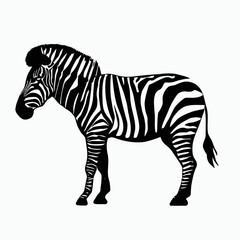 Fototapeta na wymiar Vector Silhouette of Zebra, Striking Zebra Illustration for Wildlife and Africa Concepts