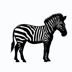 Vector Silhouette of Zebra, Striking Zebra Illustration for Wildlife and Africa Concepts