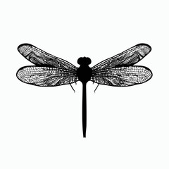 Vector Silhouette of Dragonfly, Graceful Dragonfly Illustration for Insect and Nature Concepts