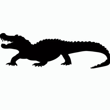 Vector Silhouette of Crocodile,alligator, Stealthy Crocodile Illustration for Nature and Wildlife Designs