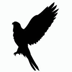 Vector Silhouette of Falcon, Swift Falcon Illustration for Bird of Prey and Wildlife Themes