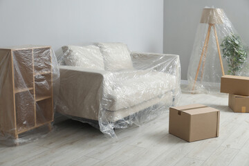 Modern furniture, houseplant covered with plastic film and boxes near light grey wall indoors