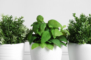 Different artificial potted herbs on white background, closeup