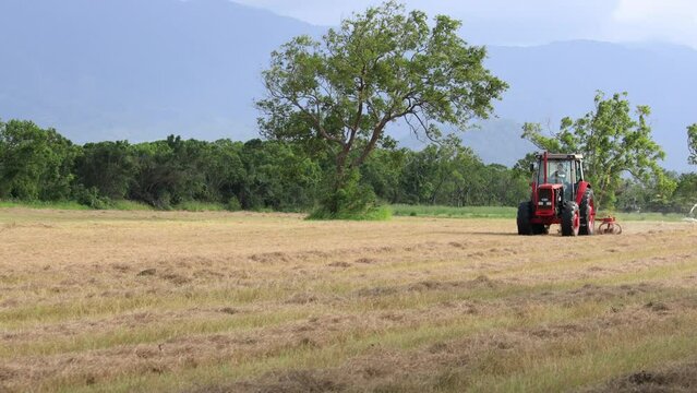 Lawn mower and egrets in ploughing field form a scenic scene.High quality video photography in Chishang, Taitung,Taiwan.