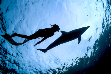 イルカ_御蔵島_17_イルカと人のシルエット © JUN HASEGAWA