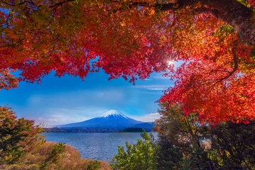 Papier Peint photo Lavable Rouge violet 富士河口湖からの富士山と紅葉