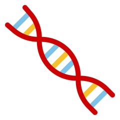 DNA Structure