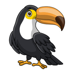 Cute toucan cartoon on white background