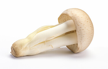 Fototapeta premium Matsutake mushroom isolated on a white background