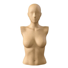 mannequin body 3D Render isolated illustration