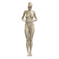 3d human figure Mannequin with a body 3D Render isolated illustration