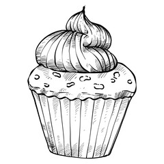 Cupcake handdrawn illustration