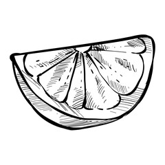 Lemon slice handdrawn illustration