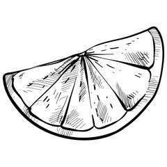 Lemon slice handdrawn illustration