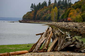 Fototapeta na wymiar Freight Train on tracks at Picnic Point on Puget Sound Washington