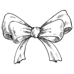 Bow ribbon handdrawn illustration