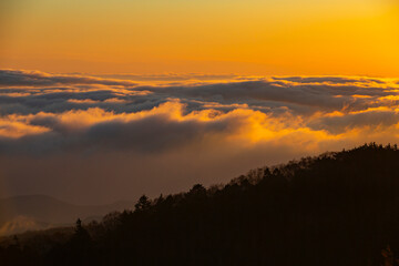 長野県上田市　美ヶ原から見える雲海の日の出　秋