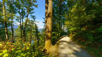Easy hiking forest trail on Burnaby Mountain, BC, on a bright summer day.
