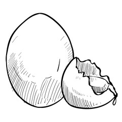 eggs handdrawn illustration