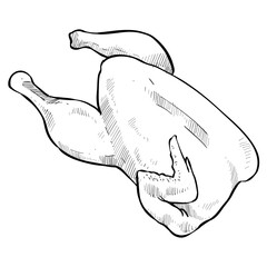 whole chicken handdrawn illustration