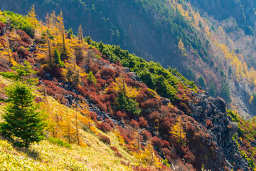 長野県上田市　秋の美ヶ原高原の風景　王ヶ頭　王ヶ鼻