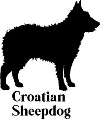  Croatian Sheepdog Dog silhouette dog breeds logo dog monogram logo dog face vector
SVG PNG EPS