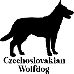 Czechoslovakian Wolfdog. Dog silhouette dog breeds logo dog monogram logo dog face vector
SVG PNG EPS