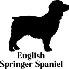 English Springer Spaniel. Dog silhouette dog breeds logo dog monogram logo dog face vector
SVG PNG EPS