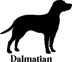 Dalmatian Dog silhouette dog breeds logo dog monogram logo dog face vector
SVG PNG EPS