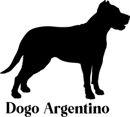 Dogo Argentino Dog silhouette dog breeds logo dog monogram logo dog face vector
SVG PNG EPS