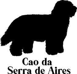 Cao da Serra de Aires Dog silhouette dog breeds logo dog monogram logo dog face vector
SVG PNG EPS