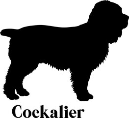  Cockalier. Dog silhouette dog breeds logo dog monogram logo dog face vector
SVG PNG EPS