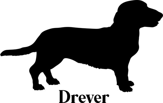 Drever Dog silhouette dog breeds logo dog monogram logo dog face vector
SVG PNG EPS