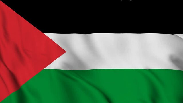 Palestine Flag Waving Video Background, close up view of the flag of Palestine waving in the wind. Selective focus.