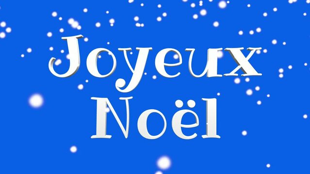 Merry Christmas in French language