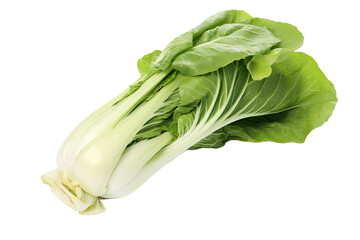 Bok choy or chinese cabbage isolated on white background