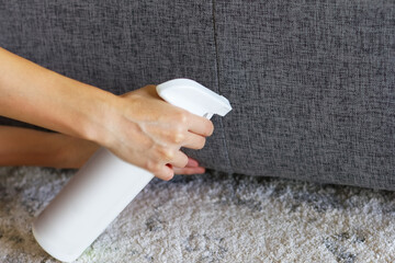 布製のカーペットとソファにスプレーする女性の手元