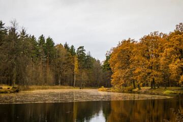 Fototapeta na wymiar Autumn idyll of nature park