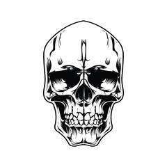human skull vector design style