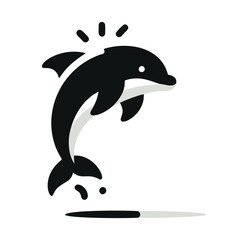 killer whale dolphin isolated on white background
