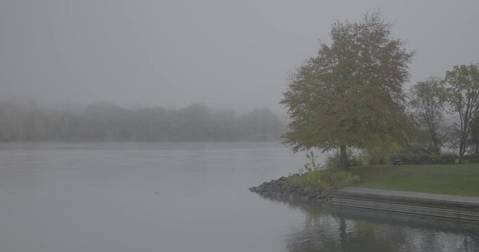 Foggy River Wide V-Log