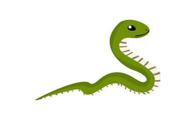 Animal - Green Snake 