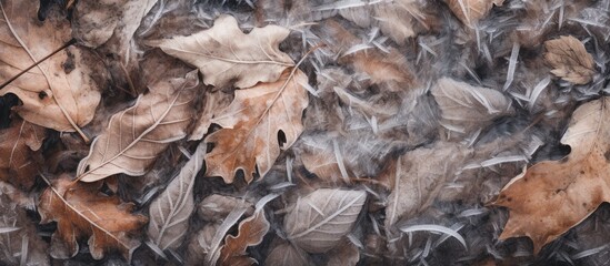 Winter ice blanket over deceased foliage