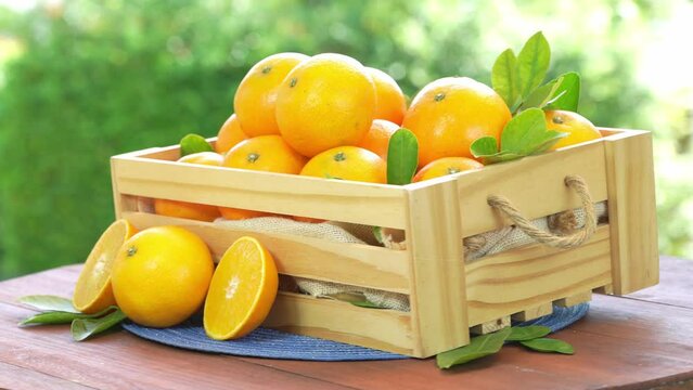 Fresh Orange fruit in Bamboo basket on green bokeh background., Japanese Ehime Orange with slices on blurred greenery background.