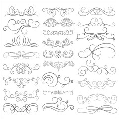 Vector graphic elements for design vector elements. Swirl elements decorative illustration