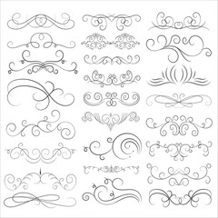 Vector graphic elements for design vector elements. Swirl elements decorative illustration - obrazy, fototapety, plakaty