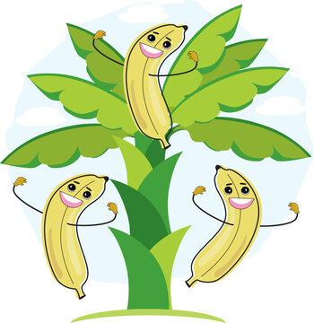 Cartoon Banana Stock Illustrations – 41,267 Cartoon Banana Stock  Illustrations, Vectors & Clipart - Dreamstime