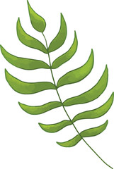 Leaves elements. Garden floral plants vector illustration.